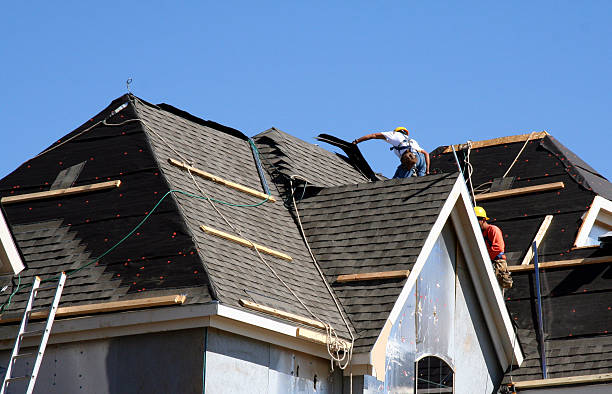 Best Roof Gutter Cleaning  in Hale Center, TX