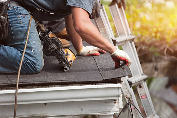 Best Gutter Installation and Roofing  in Hale Center, TX